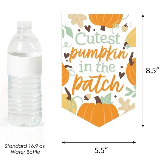 Big Dot of Happiness Little Pumpkin - Fall Birthday Party or Baby Shower Bunting Banner - Party Decorations - Little Pumpkin {3}