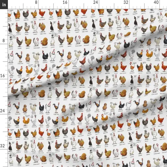 Various Fabrics by the Yard or Fat Quarter Chickens World Chicken Illustration Cute Rooster Modern Farmhouse Farm Animal Shabby Chic Kitchen Livestock Custom Printed Fabric by Spoonflower {1}