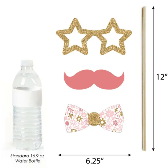 Big Dot of Happiness Mis Quince Anos - Quinceanera Sweet 15 Birthday Party Photo Booth Props Kit - 20 Count {6}