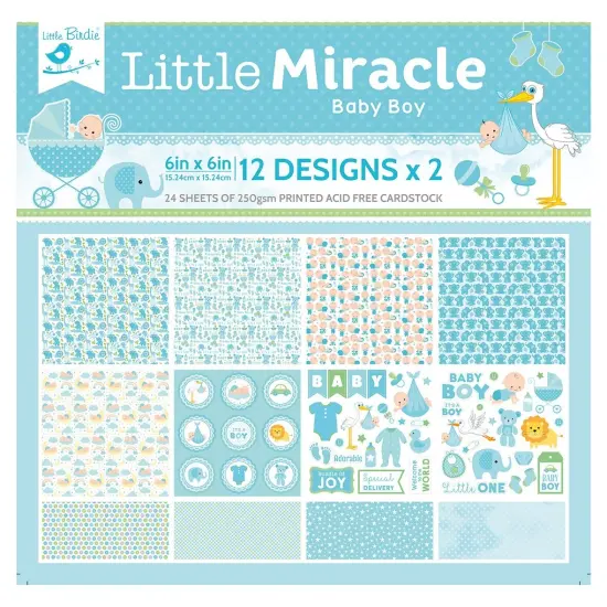 Little Birdie Little Miracle Cardstock Pack 6"X6" 24/Pkg-Baby Boy {1}