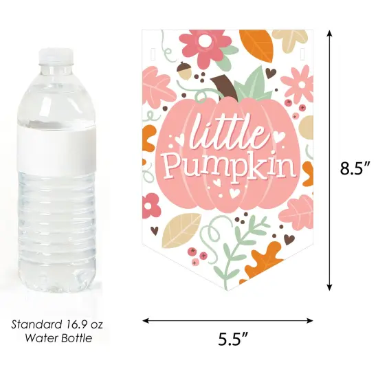 Big Dot of Happiness Girl Little Pumpkin - Fall Baby Shower Bunting Banner - Party Decorations - Welcome Baby {3}