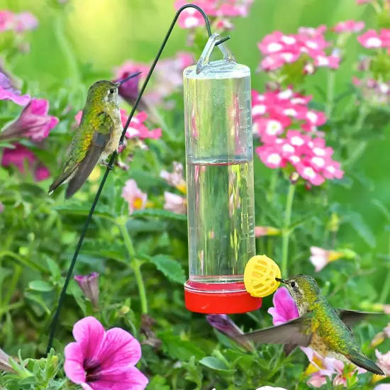 Perky-Pet Plastic Planter Hanging Rod Hummingbird Feeder 3 Oz {5}