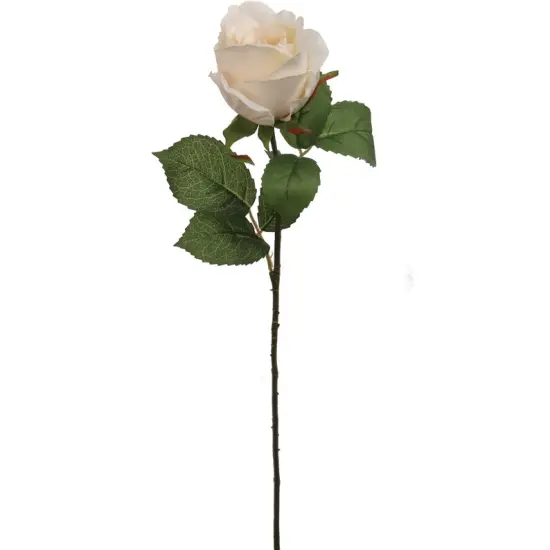 Set of 6 Cream Rose Buds 20" Silk Stems for Home & Event Decor {1}