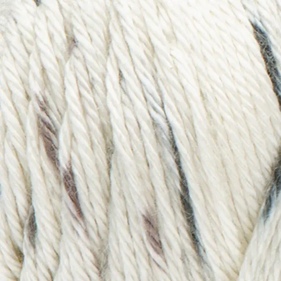 (Pack of 2) Caron Simply Soft Speckle Yarn-Seashell {3}