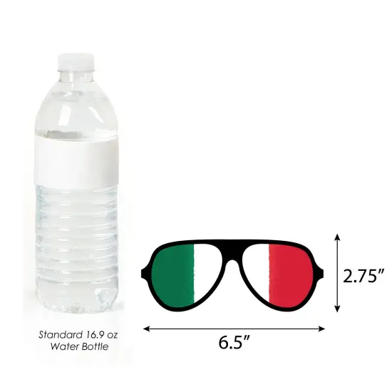 Big Dot of Happiness Viva Mexico Glasses - Paper Card Stock Mexican Independence Day Party Photo Booth Props Kit - 10 Count {6}