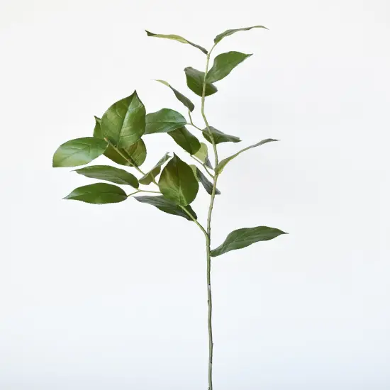 36" Faux Lemon Leaf Branch Stem {2}