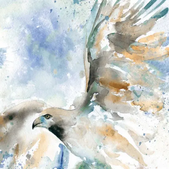 Hawk On Blue Poster Print by Carol Robinson - Item # VARPDX16398 {1}