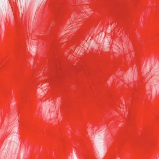 Zucker Marabou Feathers .25oz {1}