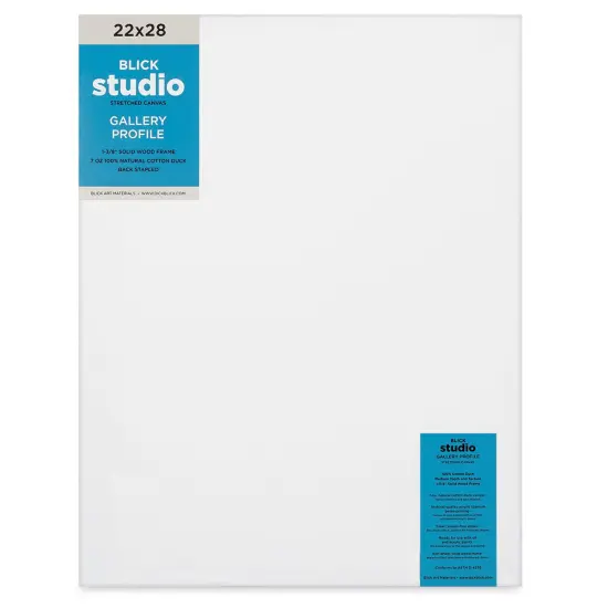 Blick Studio Stretched Cotton Canvas - Gallery Profile, 22" x 28" {1}