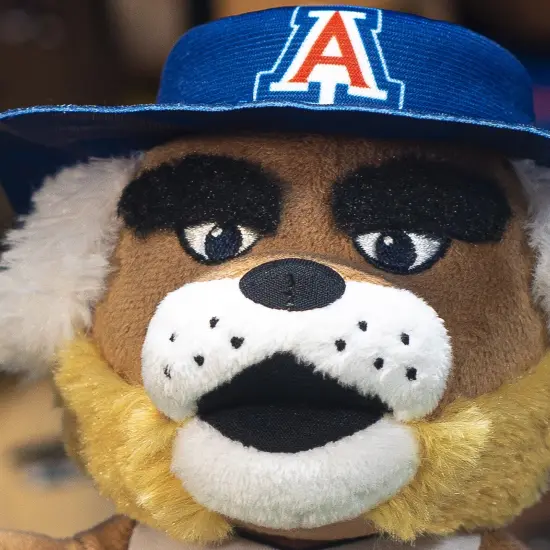 Bleacher Creatures Arizona Wildcats Wilbur 10" Mascot Plush Figure {6}