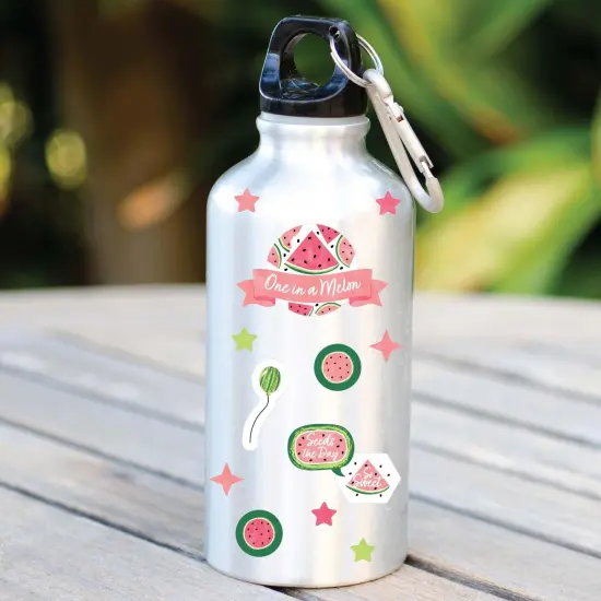 Big Dot of Happiness Sweet Watermelon - Birthday Party Favor Kids Stickers - 16 Sheets - 256 Stickers {6}