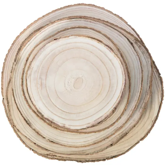 Barky Natural Wood Slabs Rustic Ornament Slice Tray Table Charger {4}