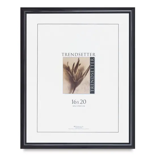 MCS Trendsetter Acrylic Poster Frame - 16" x 20" x 1/4", Black {2}