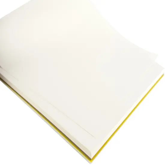 Strathmore Charcoal Spiral Paper Pad 9"X12"-32 Sheets {2}