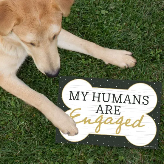 Big Dot of Happiness She Said Yes - Photo Prop Signs - Engagement Announcements - 10 Pieces {7}