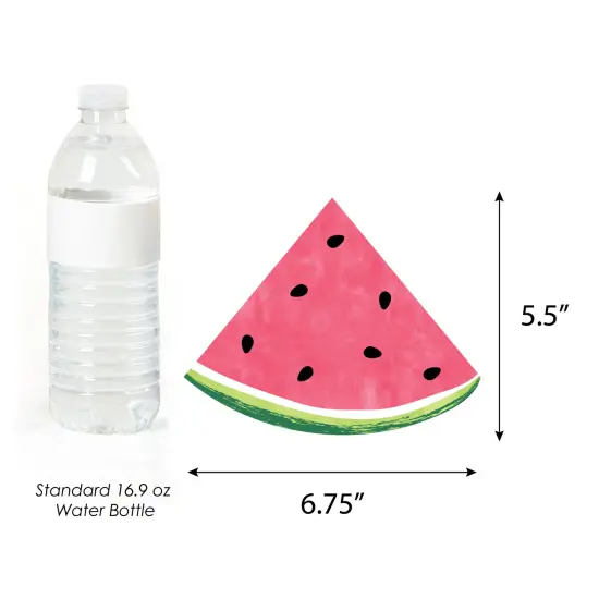 Big Dot of Happiness Sweet Watermelon - Decorations DIY Fruit Party Essentials - Set of 20 {6}
