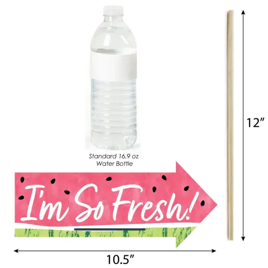 Big Dot of Happiness Funny Sweet Watermelon - Fruit Party Photo Booth Props Kit - 10 Piece {4}