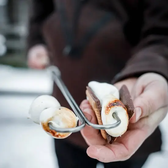 Petromax Campfire Roasting Stick Skewer with Adjustable Handle Bent Prongs LS2, Extends up to 36 inches {3}