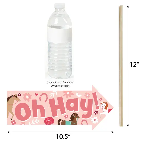 Big Dot of Happiness Funny Run Wild Horses - Pony Birthday Party Photo Booth Props Kit - 10 Piece {4}