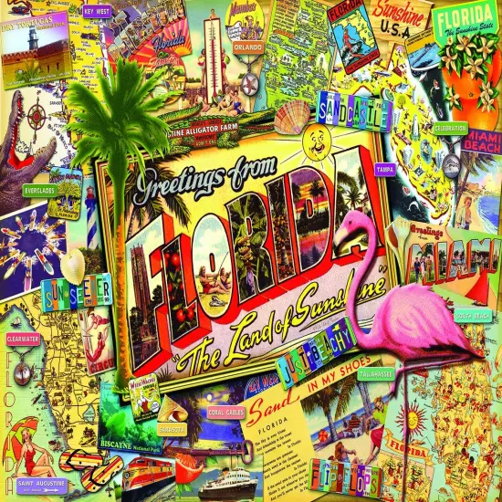 Sunsout Florida 1000 pc Jigsaw Puzzle 70021 {1}