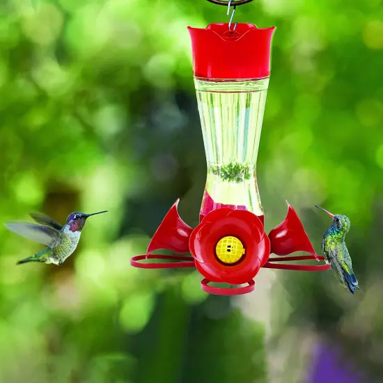Perky-Pet 8 oz Pinch Waist Glass Hummingbird Feeder {3}
