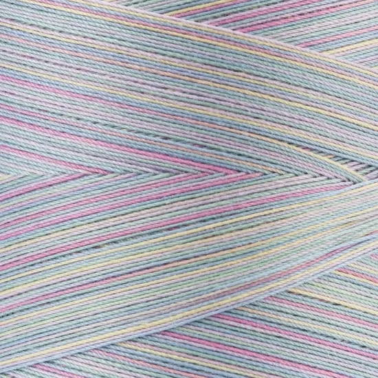 Coats Cotton Machine Quilting Multicolor Thread 1200yd {4}