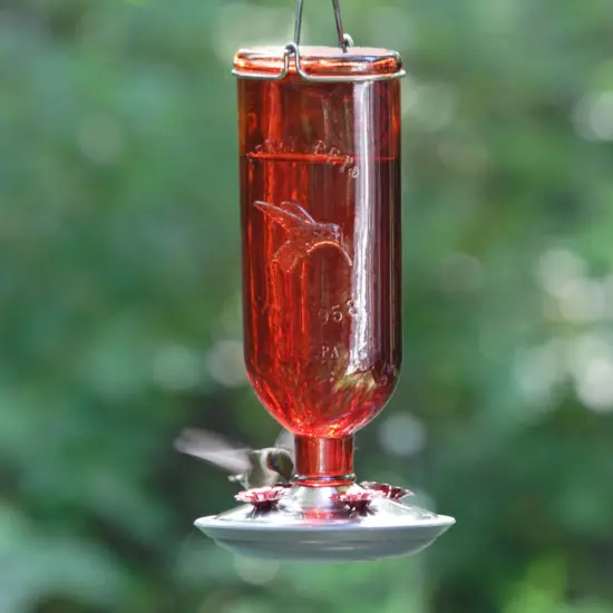Hummingbird Red Vintage-Style Bottle Feeder - 16 oz {3}