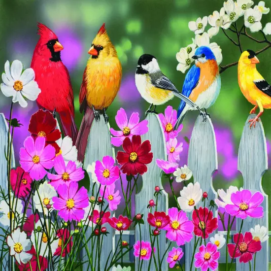 Sunsout Songbirds and Cosmos 500 pc Jigsaw Puzzle 30448 {1}
