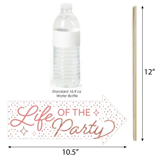 Big Dot of Happiness Funny Pink Rose Gold Birthday - Happy Birthday Party Photo Booth Props Kit - 10 Piece {4}