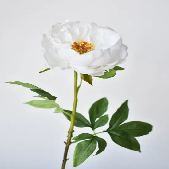 22" Faux White Peony Stem {3}