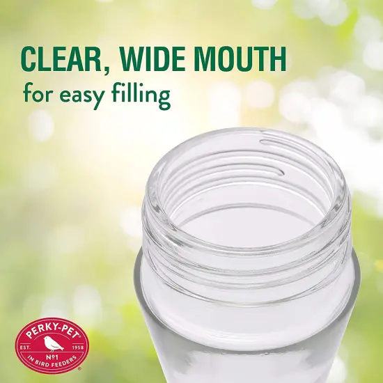 Perky-Pet 8 oz Pinch Waist Glass Hummingbird Feeder {4}