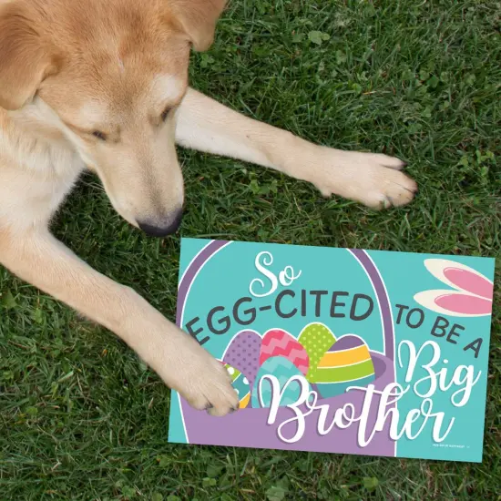 Big Dot of Happiness Hippity Hoppity - Photo Prop Signs - Easter Bunny Pregnancy Announcements - 10 Pieces {7}