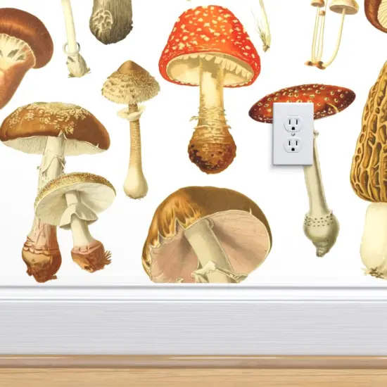 Pre-Pasted Wallpaper 2FT Wide Vintage Botanical Botanicals Mushrooms Illustration Nature Art Natural Science Custom Pre-pasted Wallpaper by Spoonflower {4}