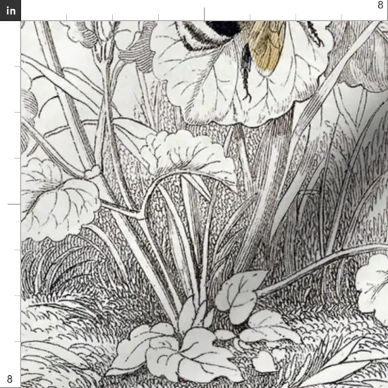 Various Fabrics by the Yard or Fat Quarter Bee Honey Floral Flowers Vintage Antique Illustration Pencil Drawing Flower Sketch Honeybee Custom Printed Fabric by Spoonflower {4}