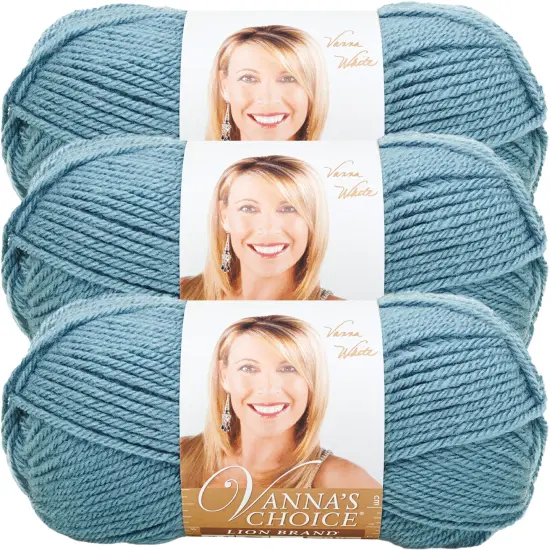 (3 Pack) Lion Brand Vanna's Choice Yarn - Dusty Blue {1}
