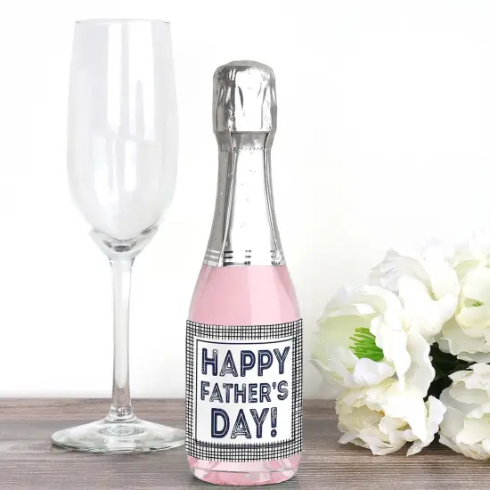 Big Dot of Happiness My Dad is Rad - Mini Wine and Champagne Bottle Label Stickers - Father's Day Favor Gift for Women and Men - Set of 16 {3}