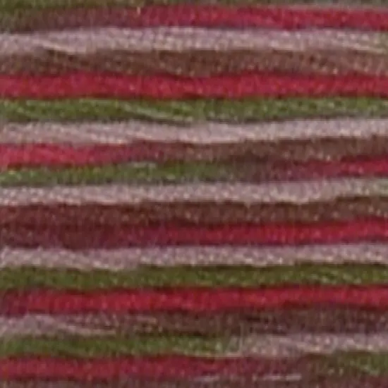 DMC Coloris 6-Strand Embroidery Cotton Floss 8.7yd {3}