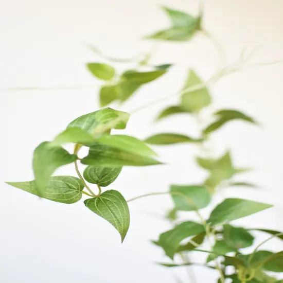 40" Faux Green Clematis Vine Stem {3}