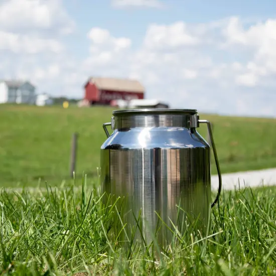 Small Shining Stainless Steel Milk Can Seamless Solid Bail 10" High 1.3 Gallon {4}