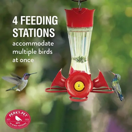Perky-Pet 8 oz Pinch Waist Glass Hummingbird Feeder {7}