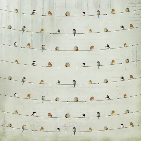 Little Birdie Woodland Stories Cardstock Pack 6"X6" 24/Pkg-Woodland Stories {6}