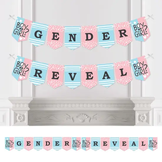 Big Dot of Happiness Baby Gender Reveal - Team Boy or Girl Party Bunting Banner - Party Decorations - Gender Reveal {1}