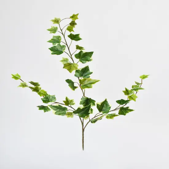 25" FauxVariegated Green Ivy Stem {2}