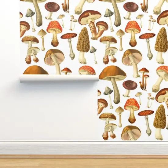 Pre-Pasted Wallpaper 2FT Wide Vintage Botanical Botanicals Mushrooms Illustration Nature Art Natural Science Custom Pre-pasted Wallpaper by Spoonflower {2}