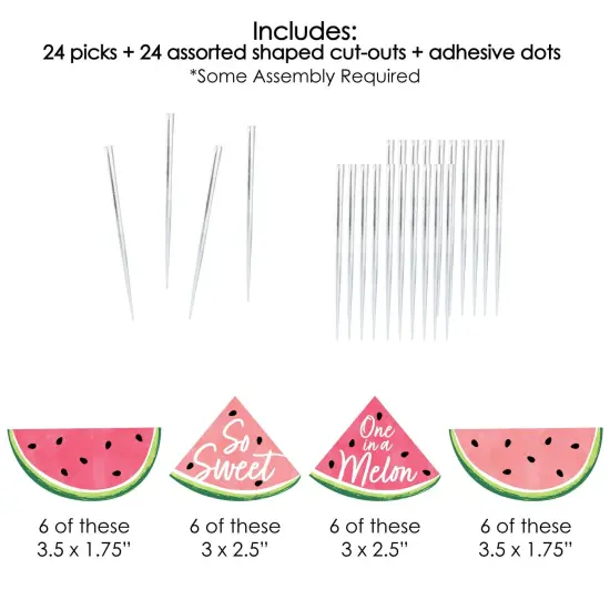 Big Dot of Happiness Sweet Watermelon - Dessert Cupcake Toppers - Fruit Party Clear Treat Picks - Set of 24 {7}