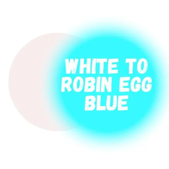 White to Robin Egg Blue Premium Glow Powder for Resin 2 Oz {1}