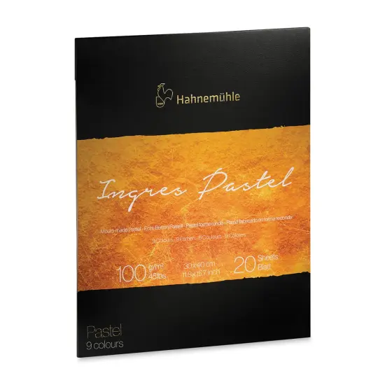 Hahnemuhle Ingres Pad - 11.8" x 15.7", Assorted, 20 Sheets {2}