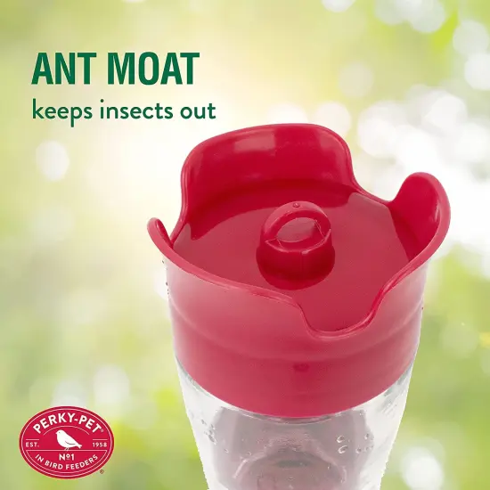 Perky-Pet 8 oz Pinch Waist Glass Hummingbird Feeder {6}