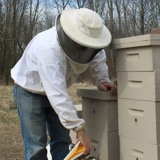 Beessential Natural Body Wash - Peppermint with Honey and Aloe, 8 ounces {6}