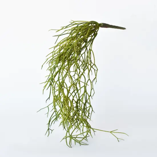 24" Faux Pencil Cactus Hanging Succulent Bush {2}